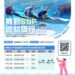 2026 舞動SUP體驗課程｜水域自救・觀摩與宣導